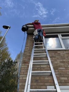 Gutter Cleaning