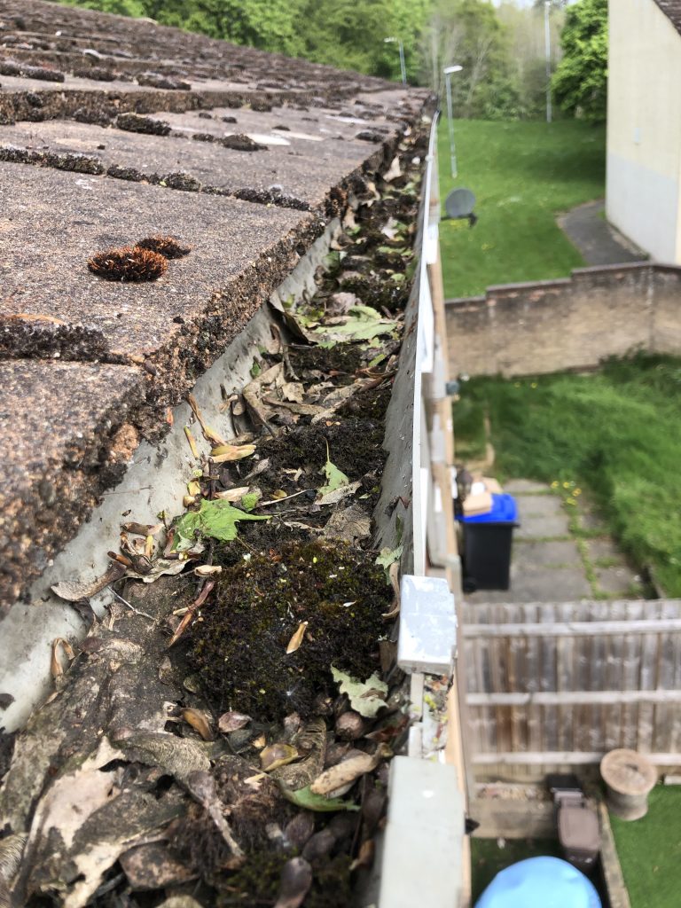 gutter cleaning